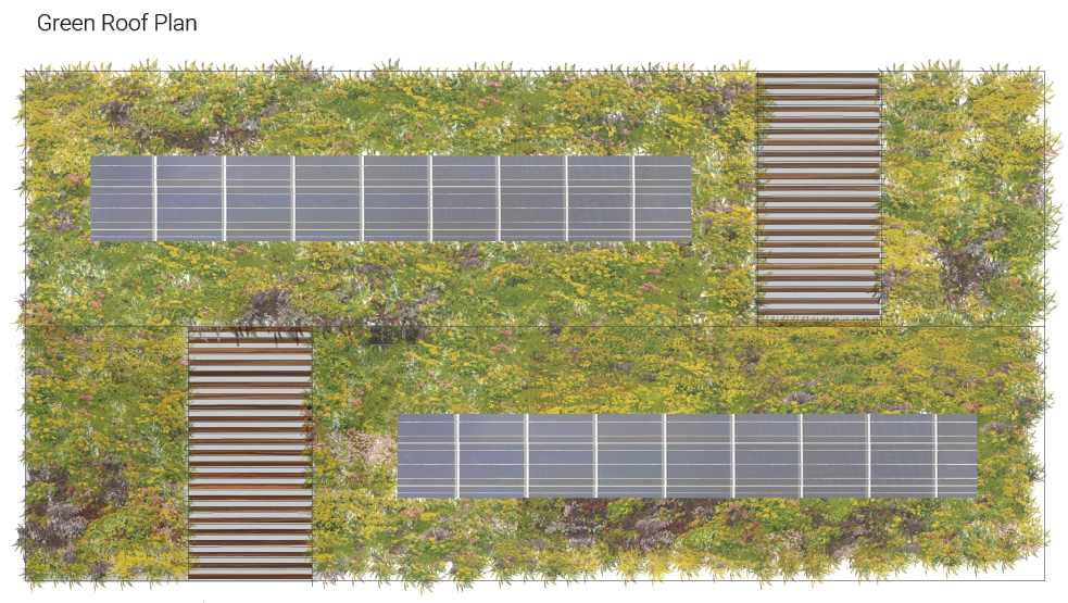 green roof plan